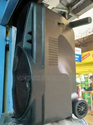 Powered Portable Speaker Pm12