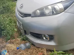 Toyota Wish 2011 Silver