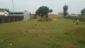 1/4 Plot Sogomo With Title Less Than 200metres From Tarmac