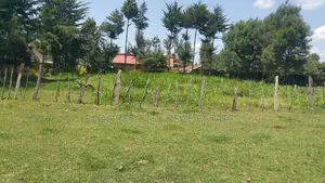 1/4 Plots at Annex Opposite School of Law