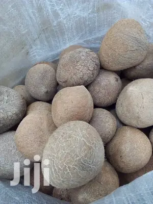 Dry Coconuts Mbata