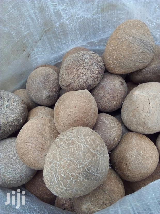 Dry Coconuts Mbata - main view