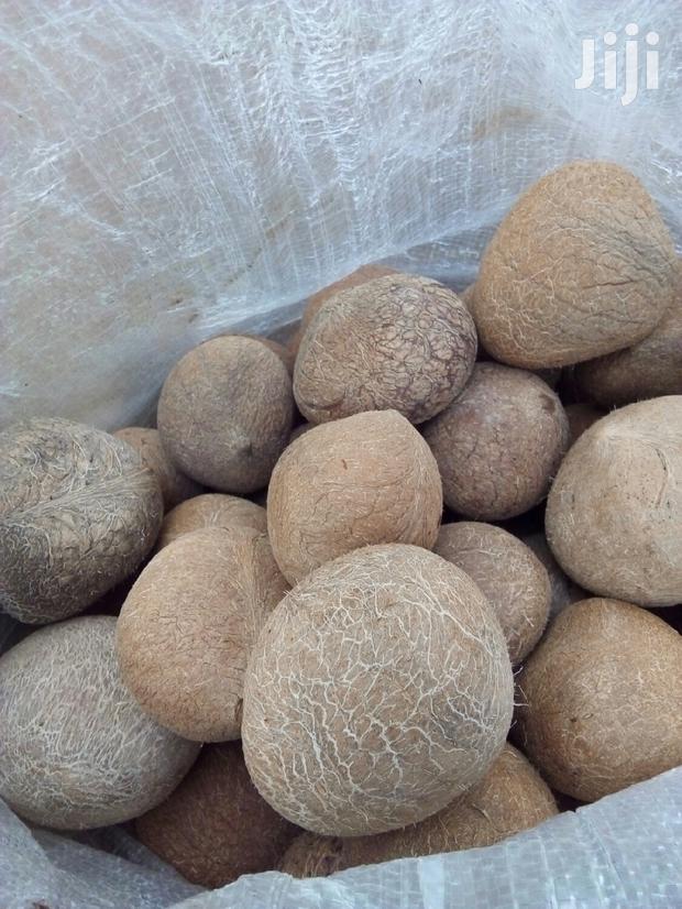Dry Coconuts Mbata - thumbnail 3