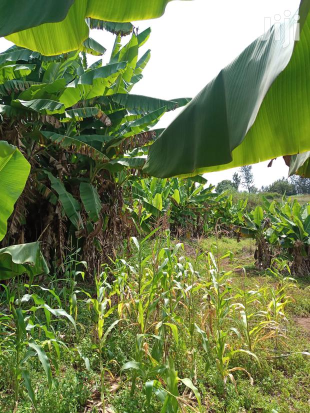 Muranga 7 Acres For Sale At Maragua
