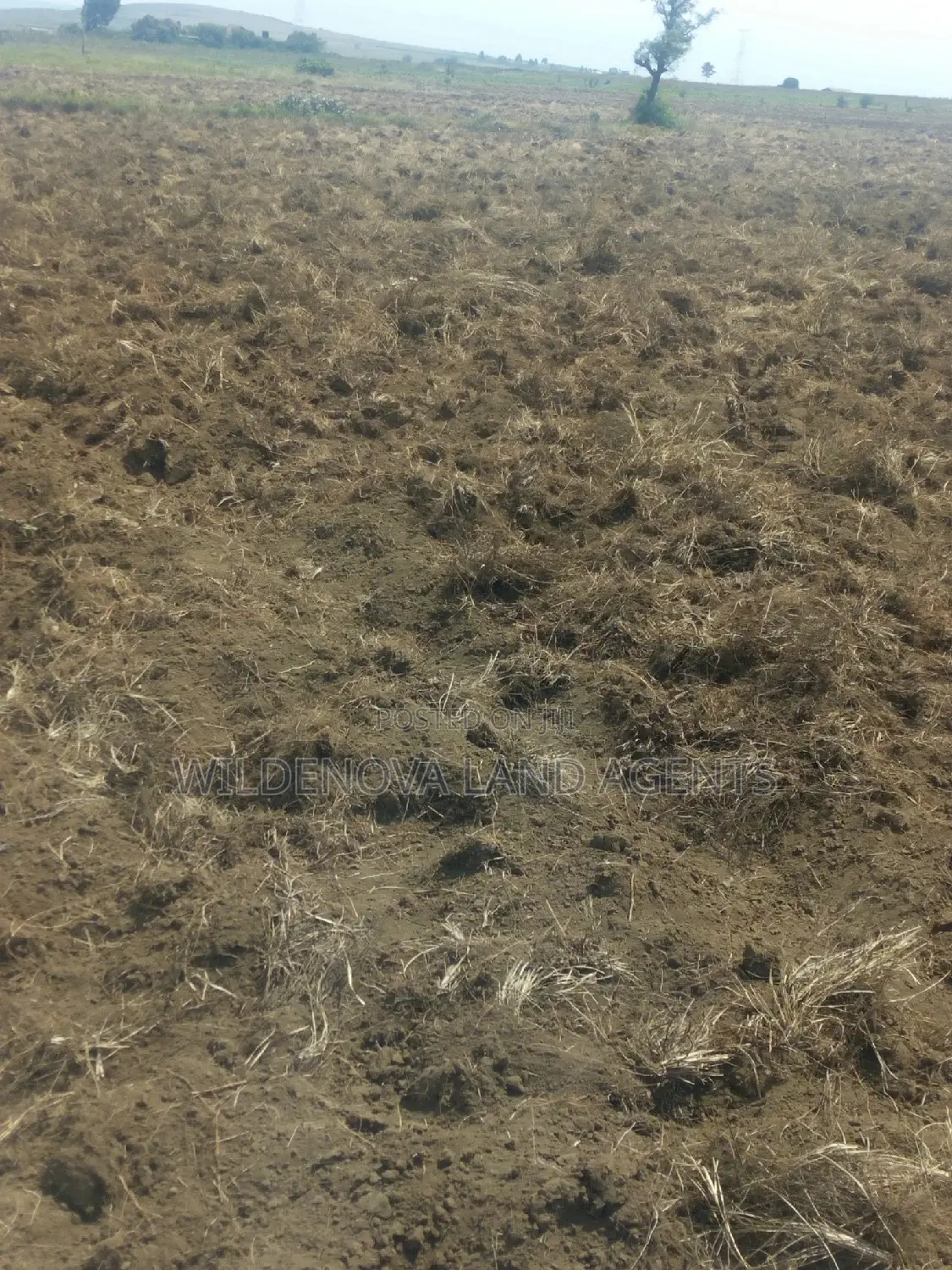 2 Acre on Sale at Munyu Naivasha