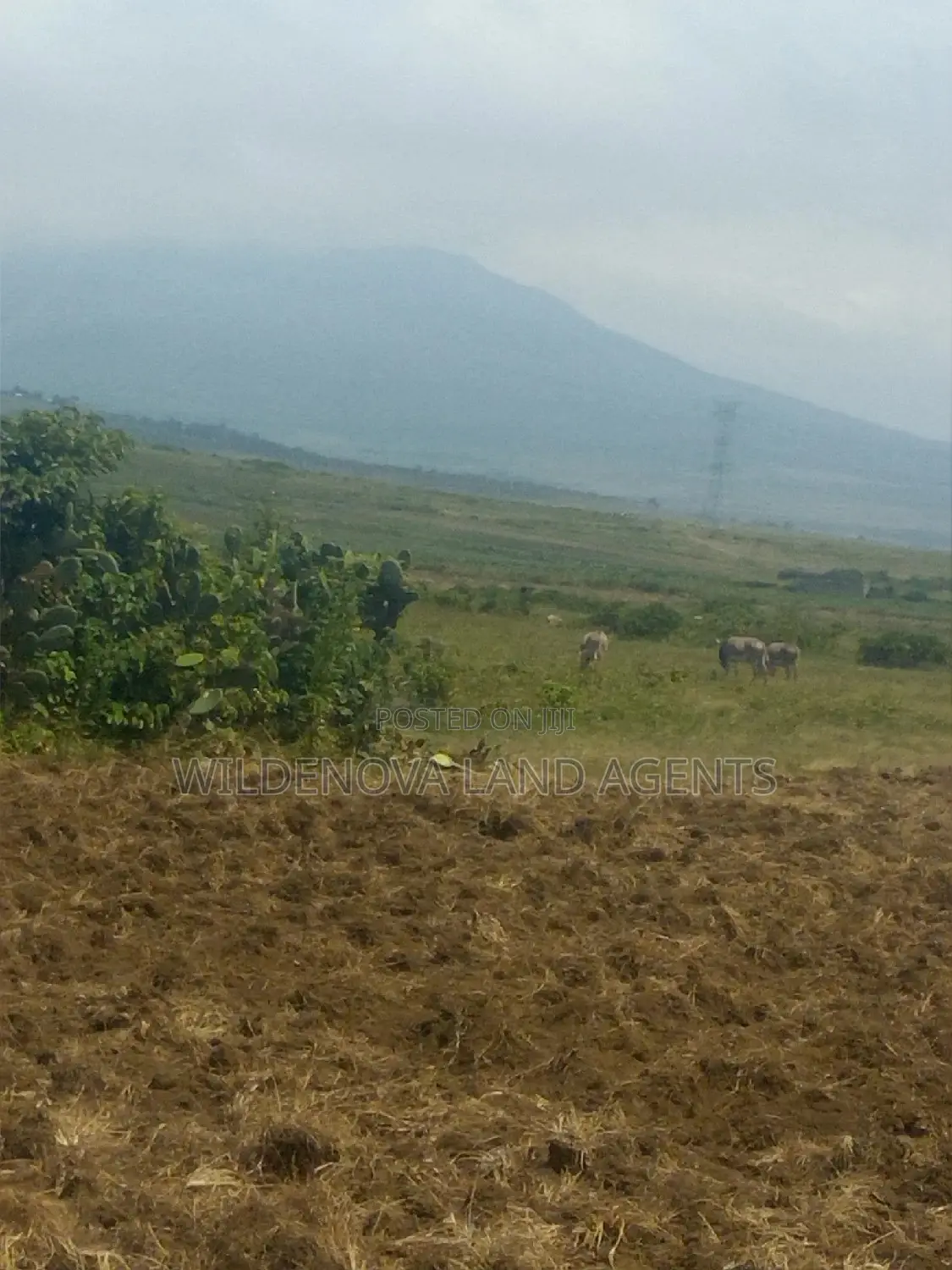 2 Acre on Sale at Munyu Naivasha