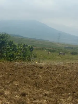 2 Acre on Sale at Munyu Naivasha