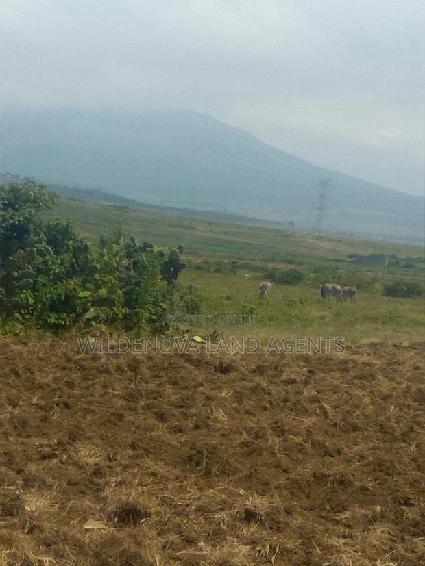 2 Acre on Sale at Munyu Naivasha - thumbnail 2