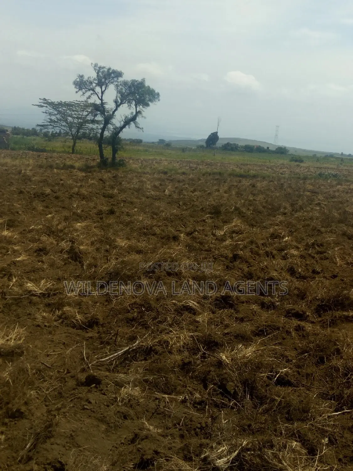 2 Acre on Sale at Munyu Naivasha