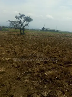 2 Acre on Sale at Munyu Naivasha