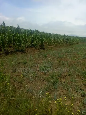 2 Acre on Sale at Munyu Naivasha
