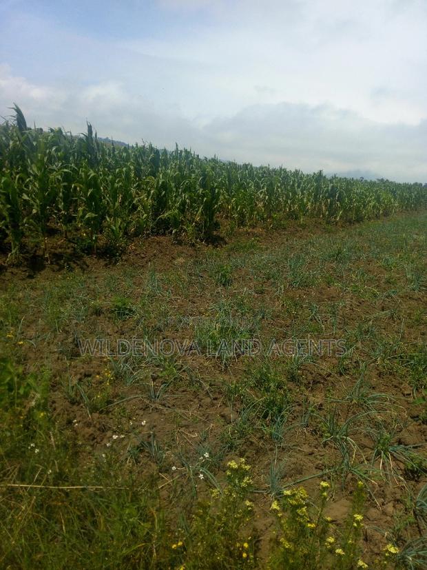 2 Acre on Sale at Munyu Naivasha - thumbnail 5