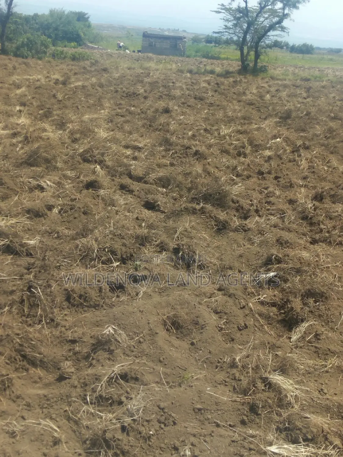 2 Acre on Sale at Munyu Naivasha
