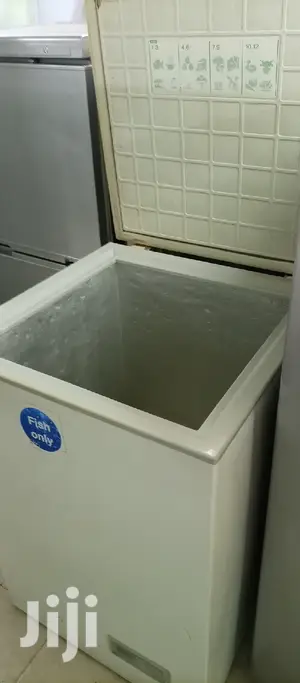 Mini Deep Freezer
