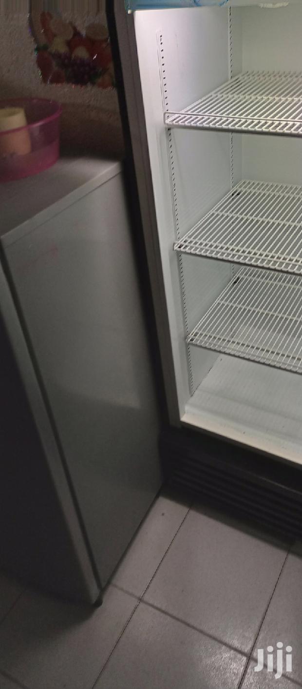 Display Standard Fridge