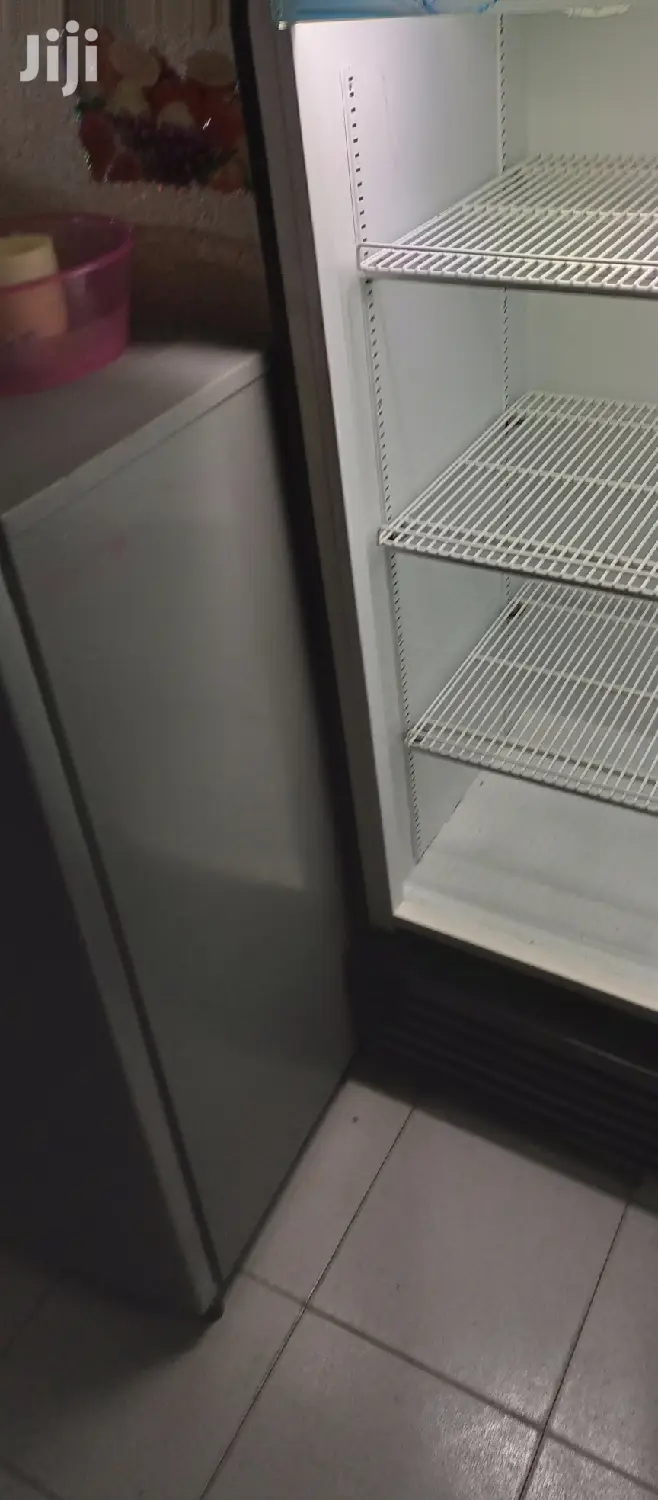 Display Standard Fridge