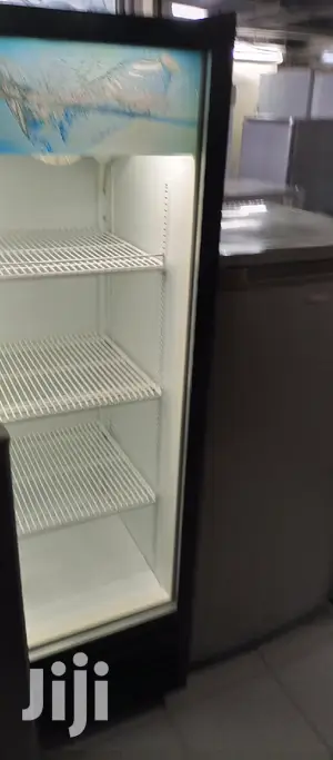 Display Standard Fridge
