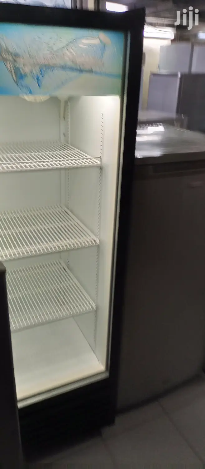 Display Standard Fridge