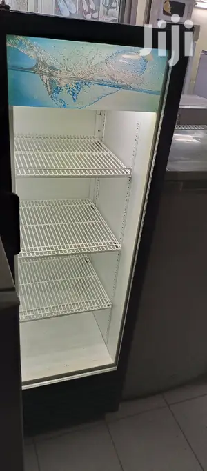 Display Standard Fridge