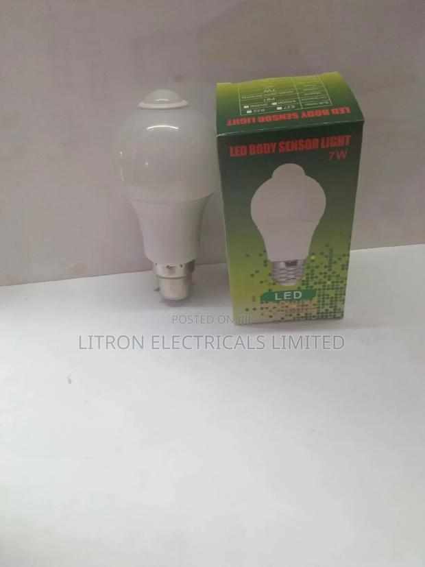 Motion Sensor Bulbs - main view