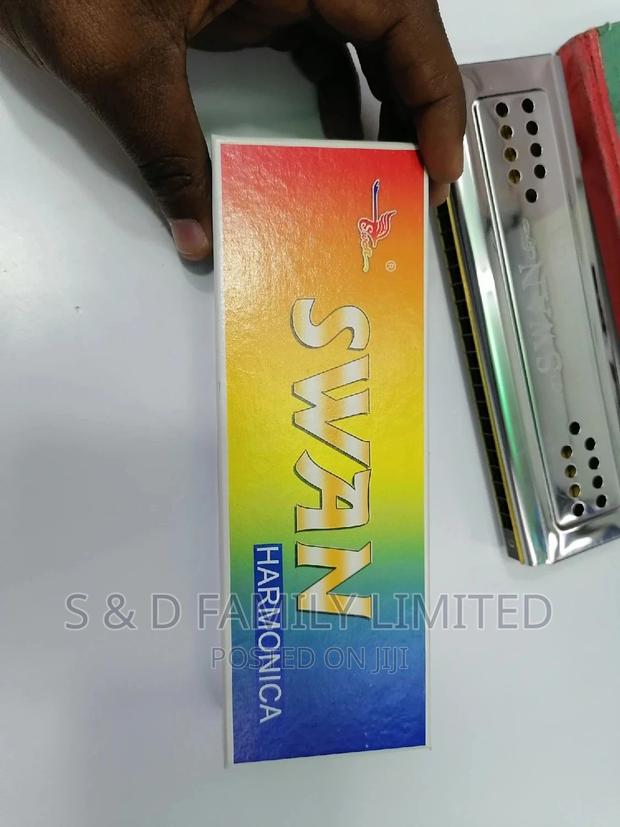 Swan 48 Holes Double Harmonica - main view