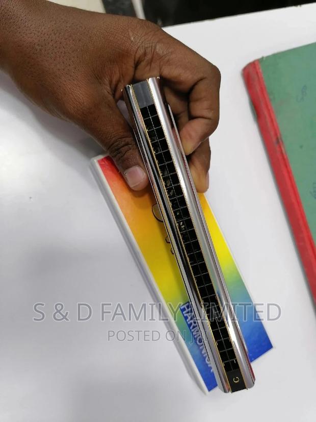 Swan 48 Holes Double Harmonica - thumbnail 2