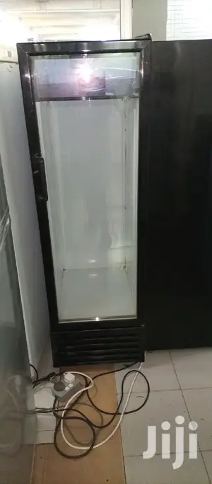 Frigorex Fridge