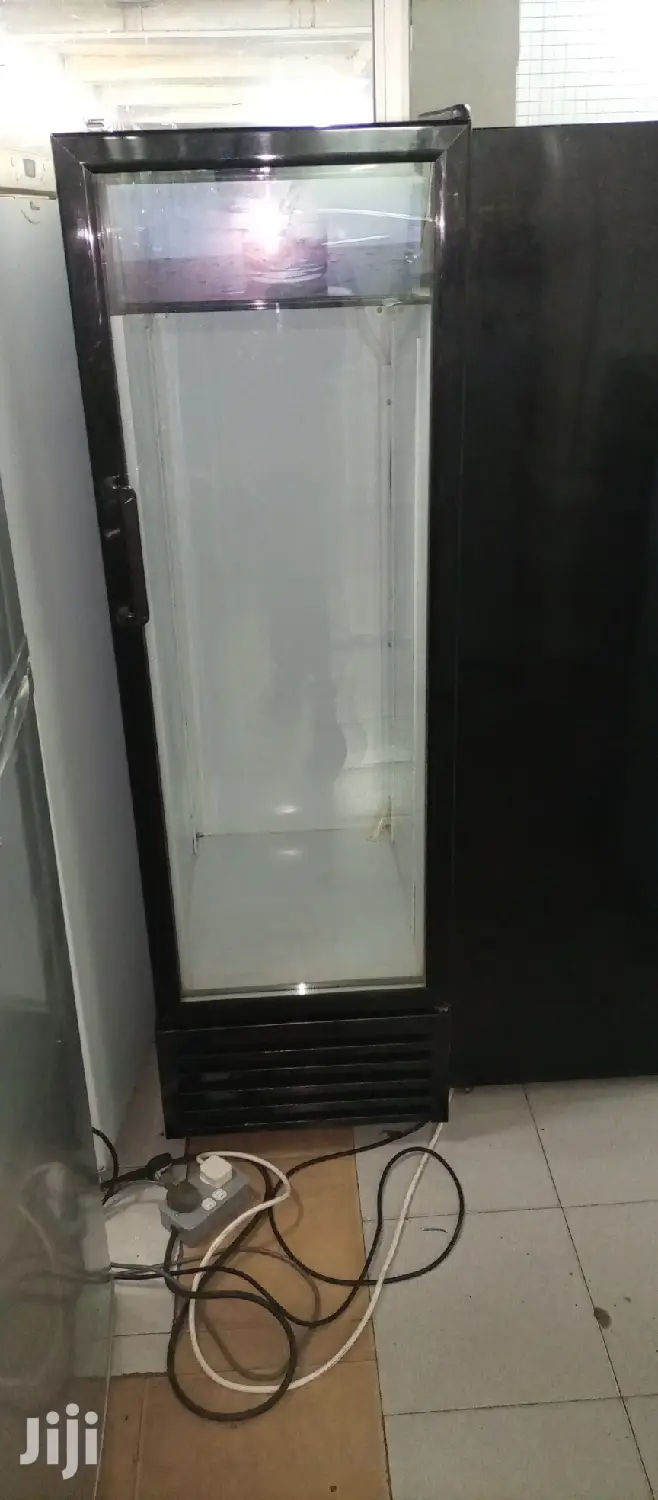 Frigorex Fridge