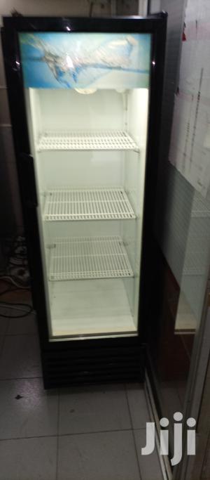 Frigorex Fridge - main view