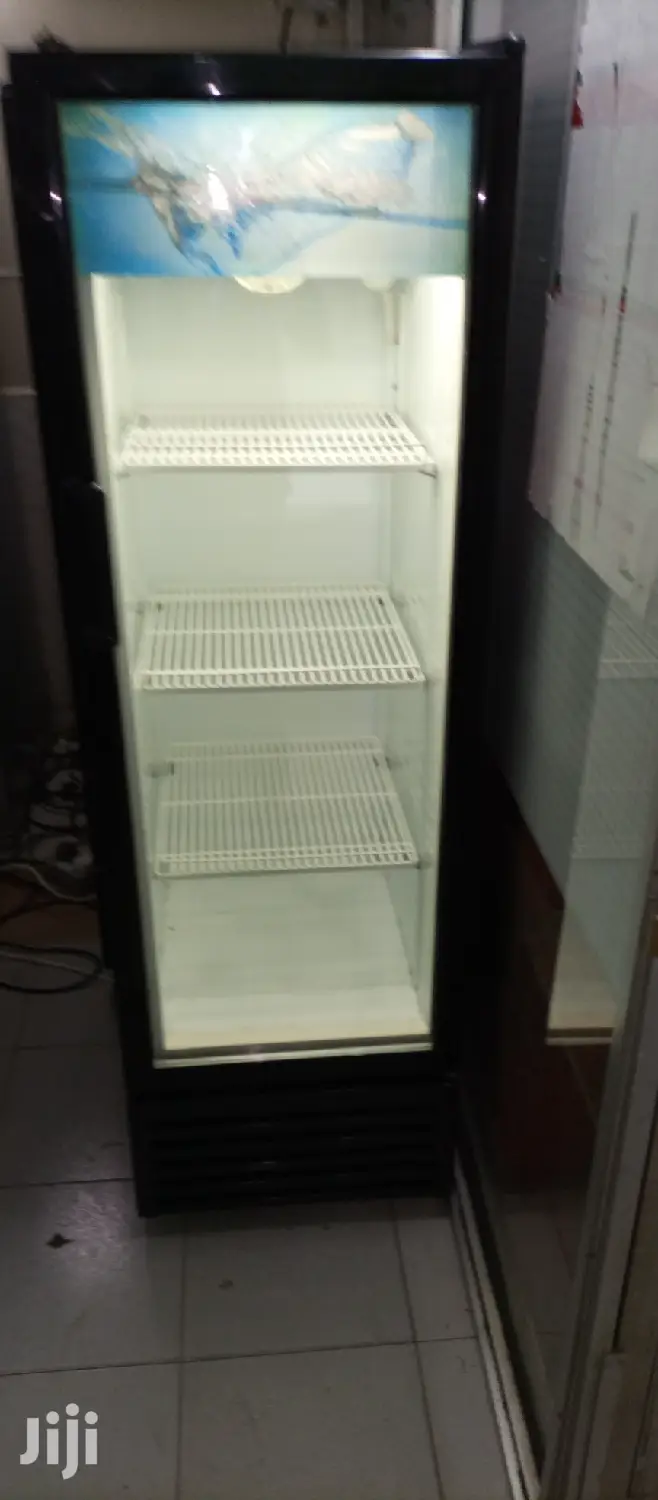 Frigorex Fridge