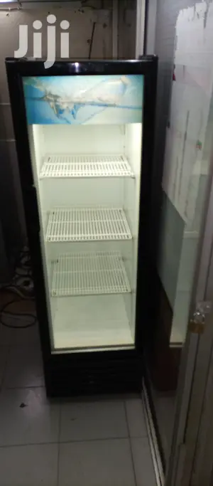 Frigorex Fridge
