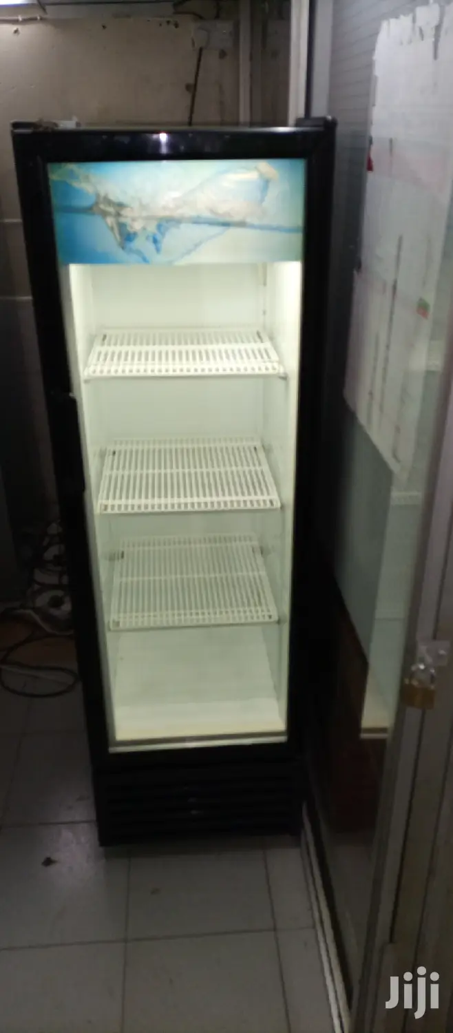 Frigorex Fridge