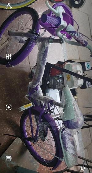 Speed King Bicycle - main view