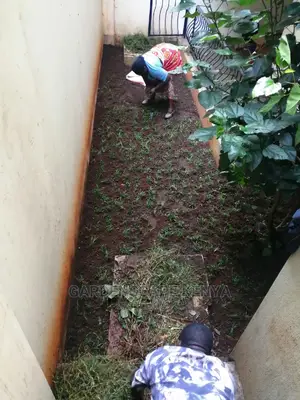 Landscaping And Gardening