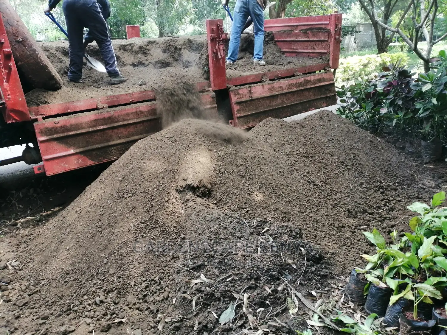 Landscaping And Gardening