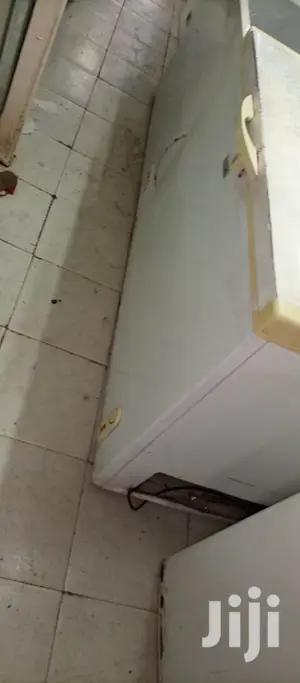 Medium Size Freezer