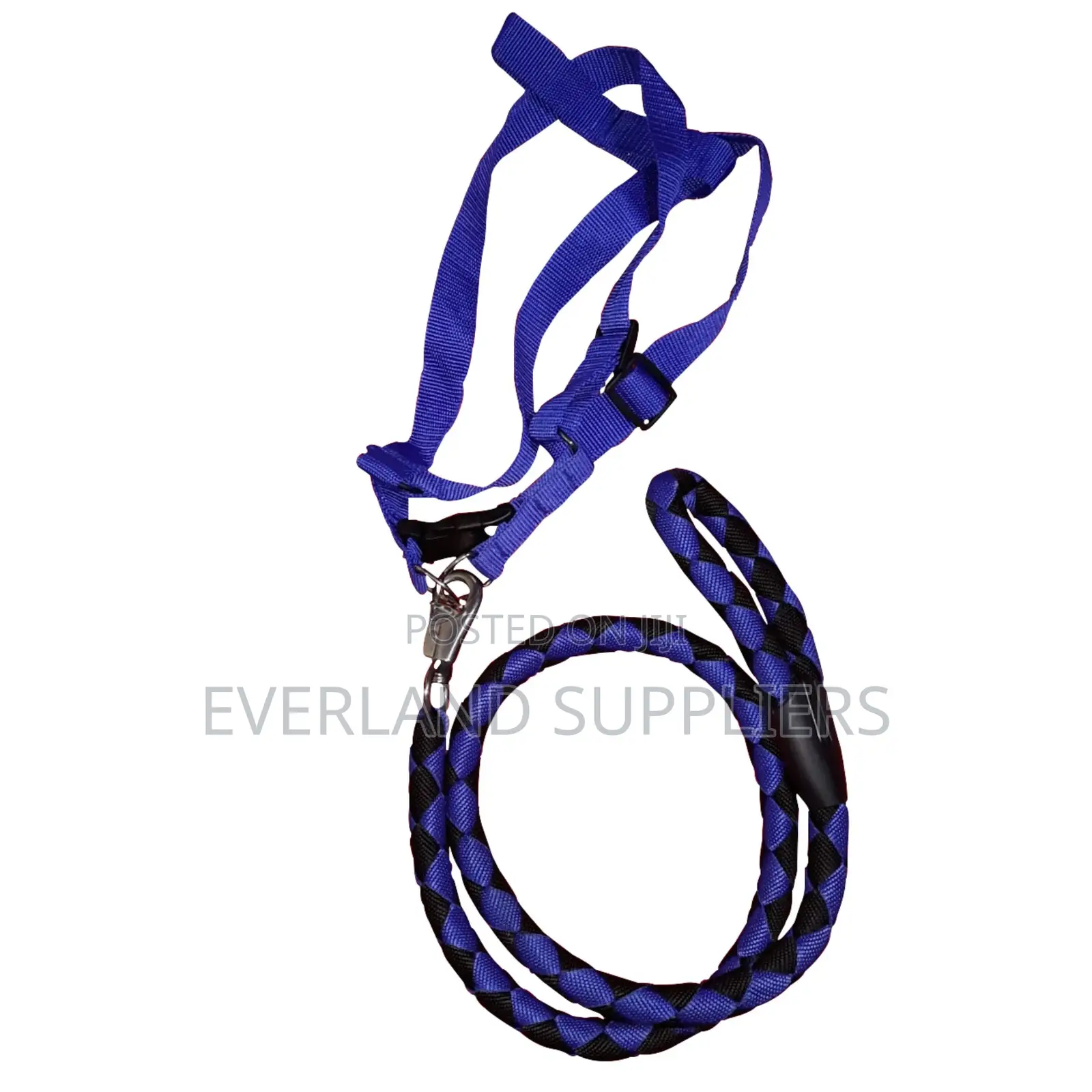 Dog Leash And Harness