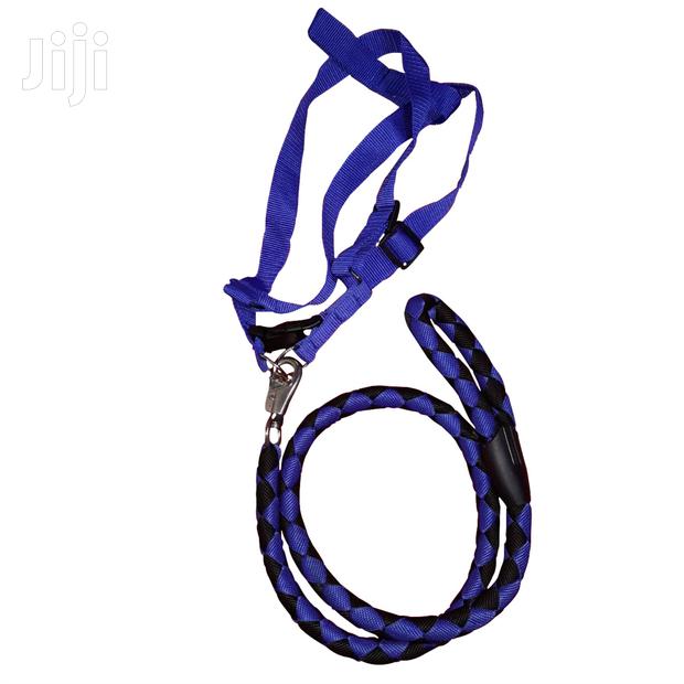 Dog Leash And Harness - main view