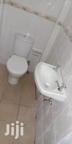 Professional Plumbing Work