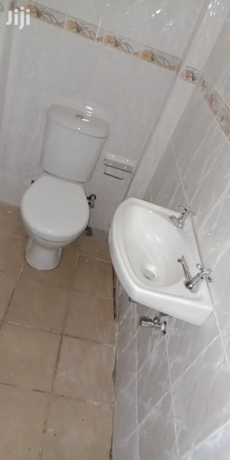 Professional Plumbing Work
