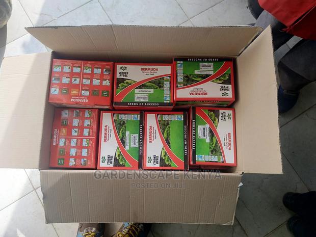 Bermuda Grass Seeds. - main view