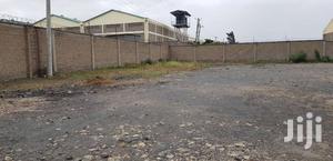 2 Acres Yard to Let in Syokimau
