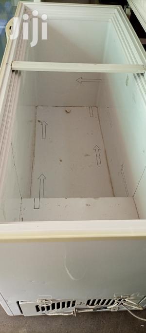 Double Door Freezer - main view