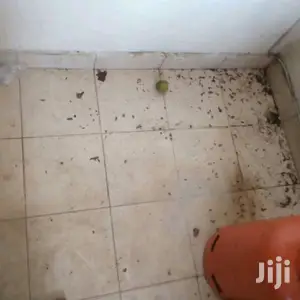 Fumigation and Pest Control Services