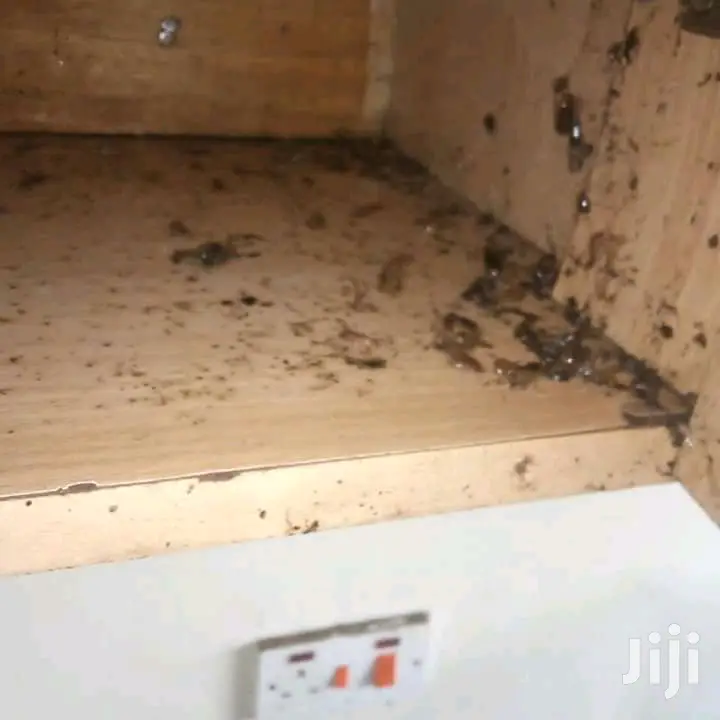 Fumigation and Pest Control Services