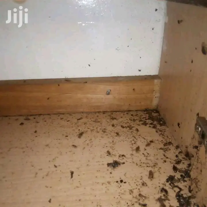 Fumigation and Pest Control Services