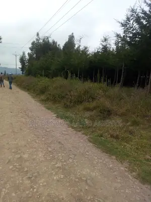 50*100 Plot On Sale At Kinungi Naivasha