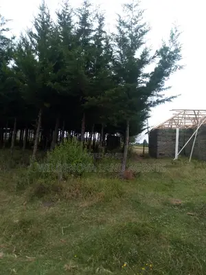50*100 Plot On Sale At Kinungi Naivasha