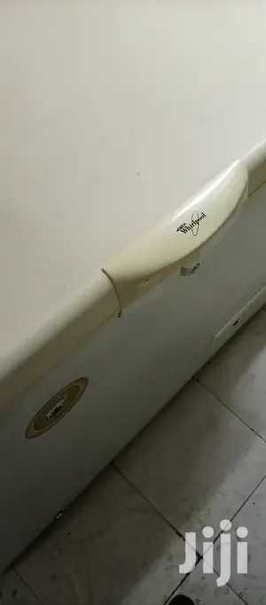 300L Deep Freezer