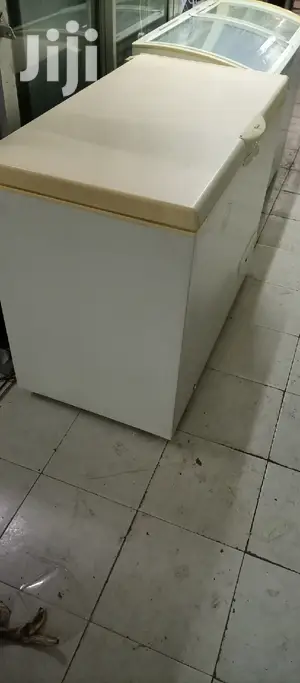 300L Deep Freezer